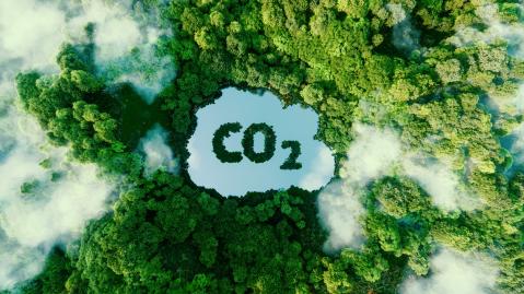 CO2 Wolke im Wald 